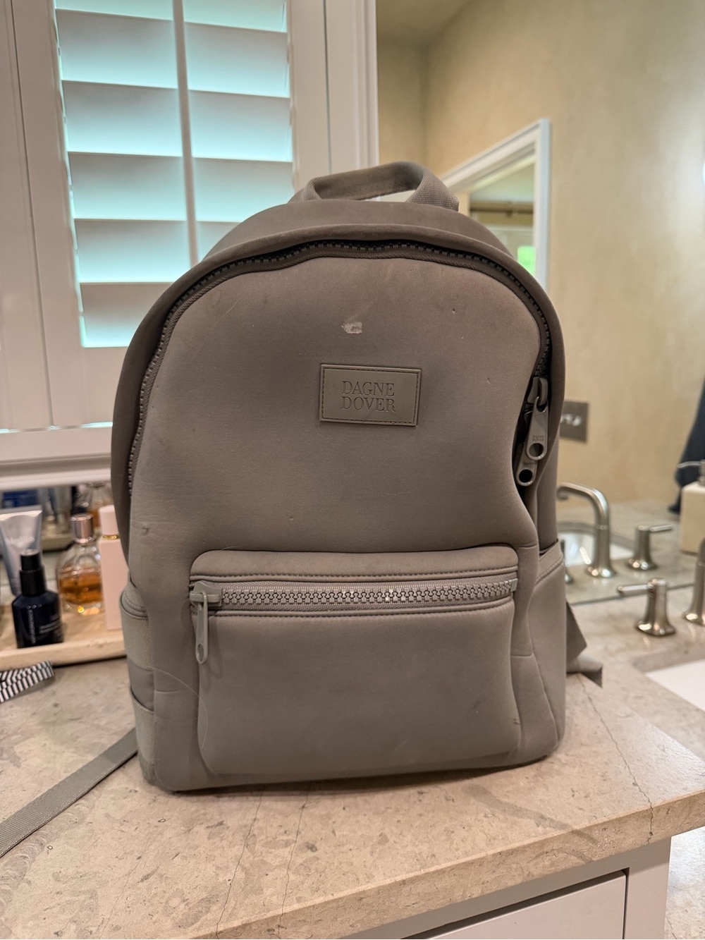Dagne Dover Gray Backpack
